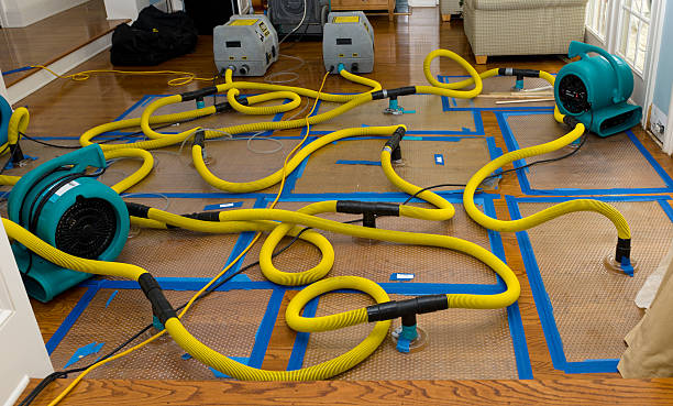 Professional Sewage Cleanup technician working in Mission Hill, SD